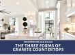 forms of granite countertops